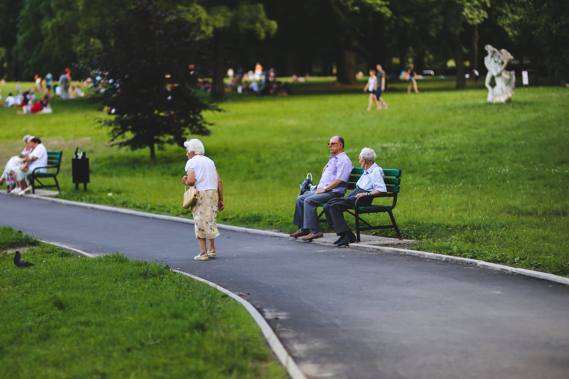 Dealing with the Corona virus Anxiety if You are a Senior Citizen