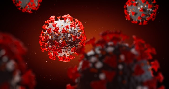 Stability and Infectivity of SARS-CoV-2 Virus in Different Temperatures & Surfaces