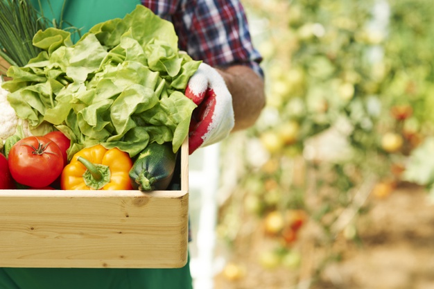 Farmers Day 2020: Are Organic Products Healthy Foods to Buy?