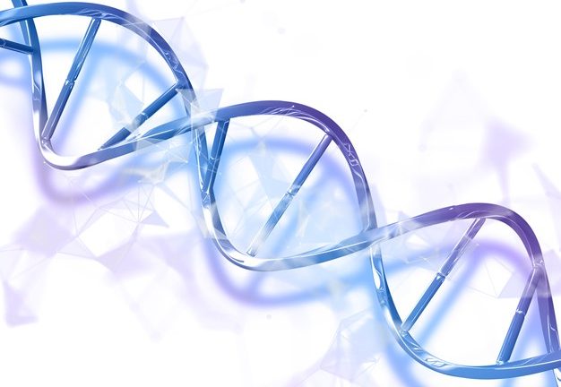 Read the fundamentals of DNA and the role it has to play in your life