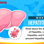 how you can prevent Hepatitis transmission