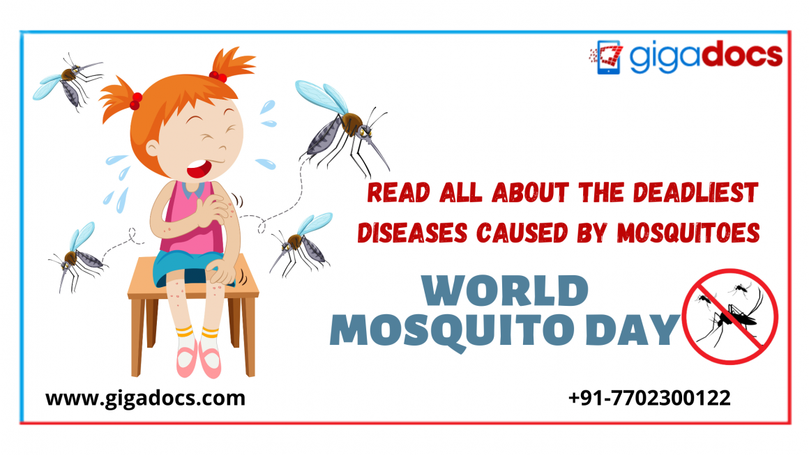 World Mosquito Day- What Happens when you get Bitten by a Mosquito?