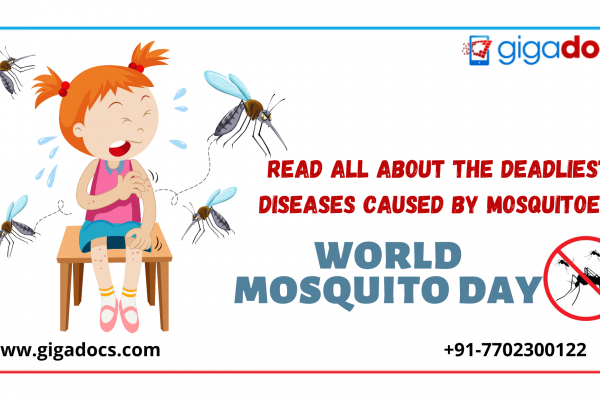 World Mosquito Day- What Happens when you get Bitten by a Mosquito?