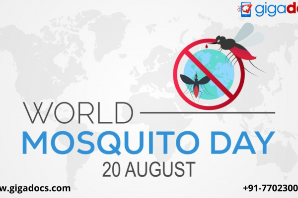 World Mosquito Day: Guide to the different diseases caused by a mosquito bite.